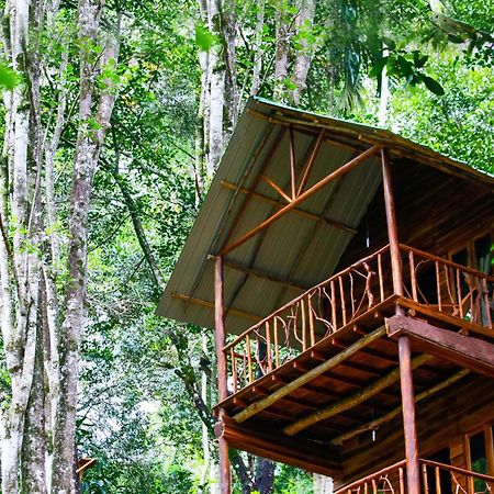 Ella Ecolodge Exterior foto